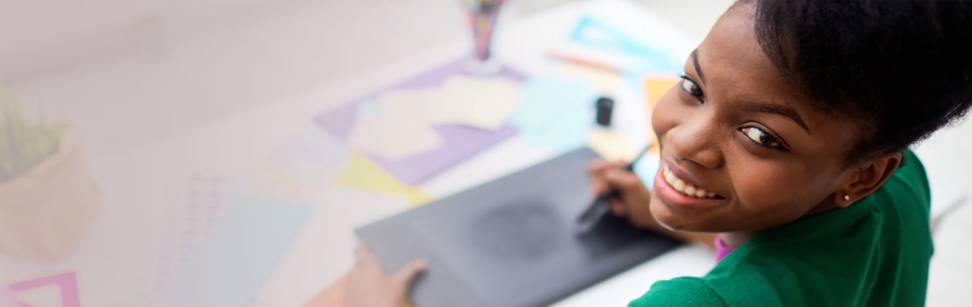 Island Micro Finace Bank